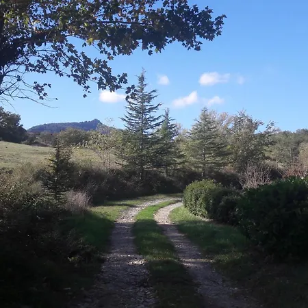 Les Amandiers En Belle Nature