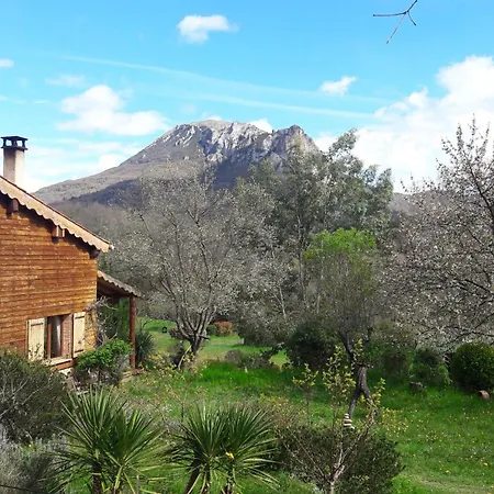 Les Amandiers En Belle Nature Bugarach