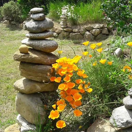 Les Amandiers En Belle Nature