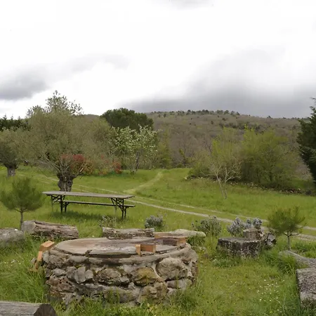 Les Amandiers En Belle Nature *