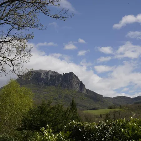 Les Amandiers En Belle Nature