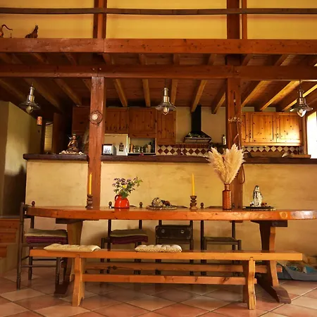 Les Amandiers En Belle Nature *