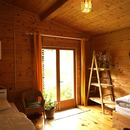 Les Amandiers En Belle Nature Bugarach